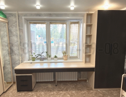 Рабочая зона модель r106 купить в Голицыно